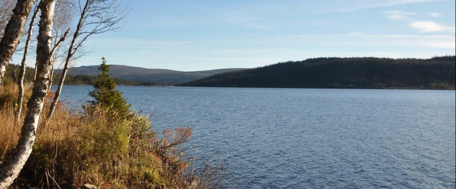 Henån Hensjön - Image 6