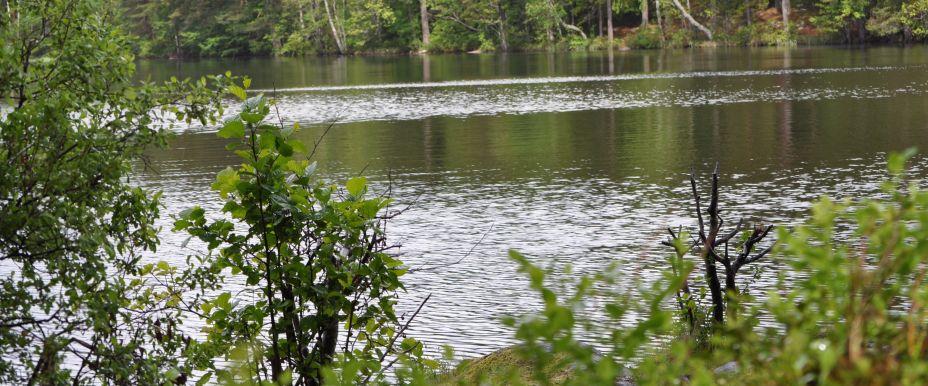 Tivedenområdet (Hökensås) - Image 3