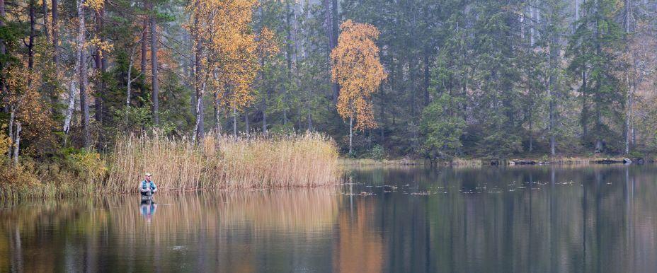 Hökensås - Image 4