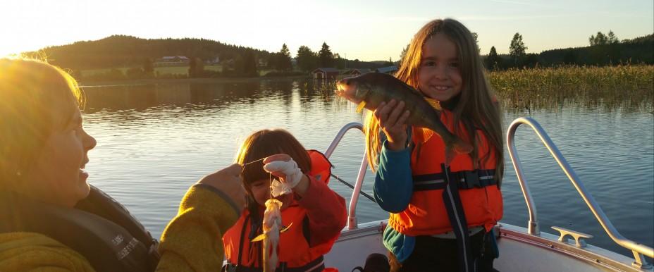 Revsundssjön, Grimnäsfjärden m fl vatten - Image 1