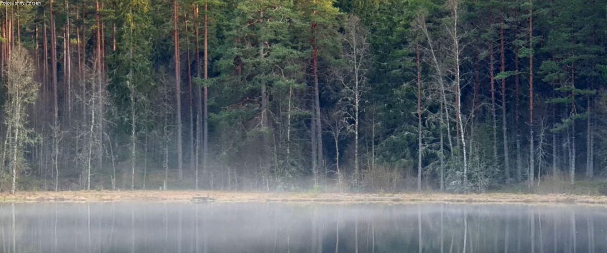 Mullsjön - Image 13