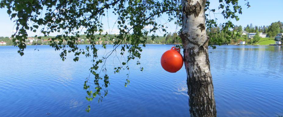 Mullsjön - Image 6