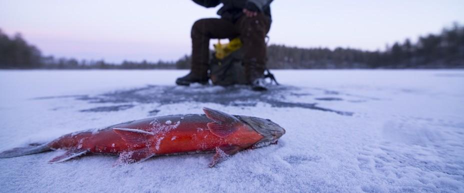 Tallsjön, Sundsjön, Oreälv m fl vatten - Image 3