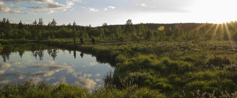 Tallsjön, Sundsjön, Oreälv m fl vatten - Image 5