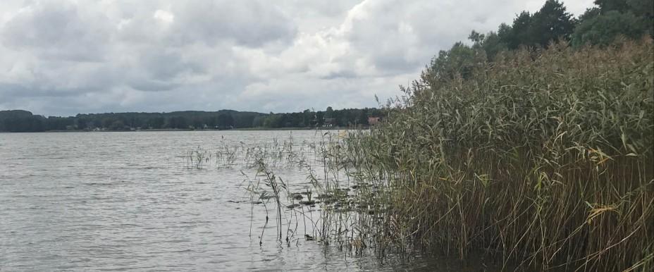 Ringsjön - Image 6