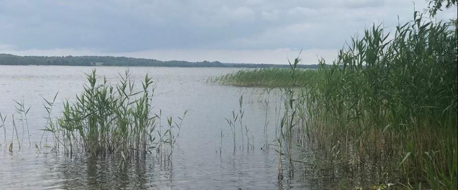Ringsjön - Image 2