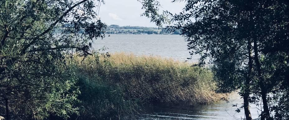 Ringsjön - Image 7