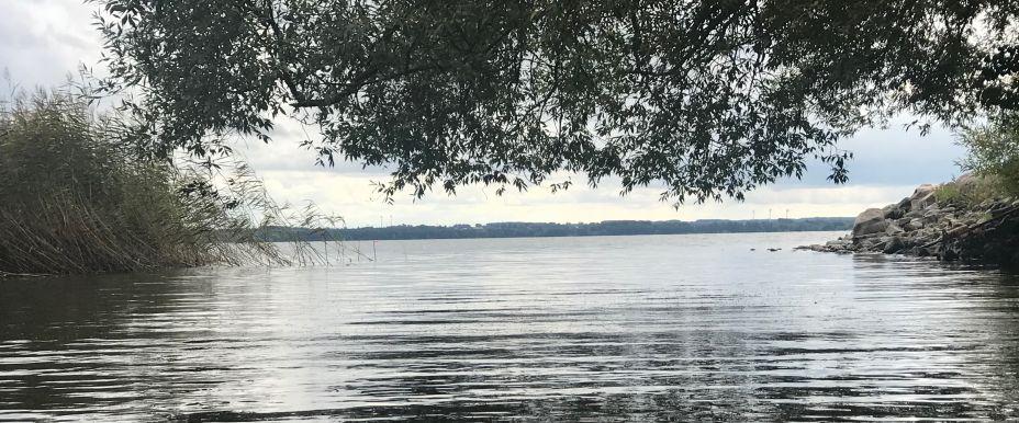 Ringsjön - Image 5