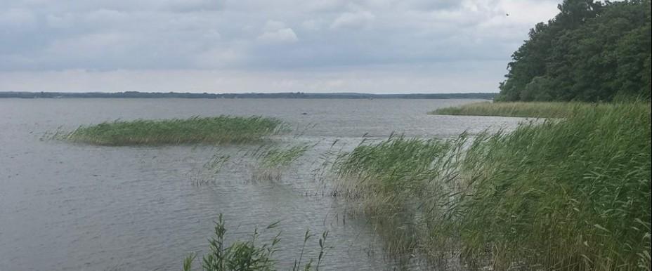 Ringsjön - Image 4