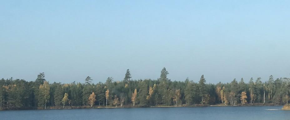 Östra och Västra Laxsjön, Örkaggen mfl - Image 2