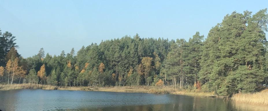 Östra och Västra Laxsjön, Örkaggen mfl - Image 5