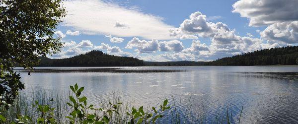 Bulsjöån - Image 2