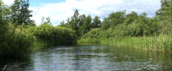 Bulsjöån - Image 6