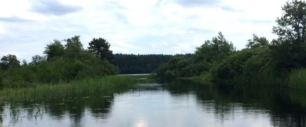 Bulsjöån - Image 8