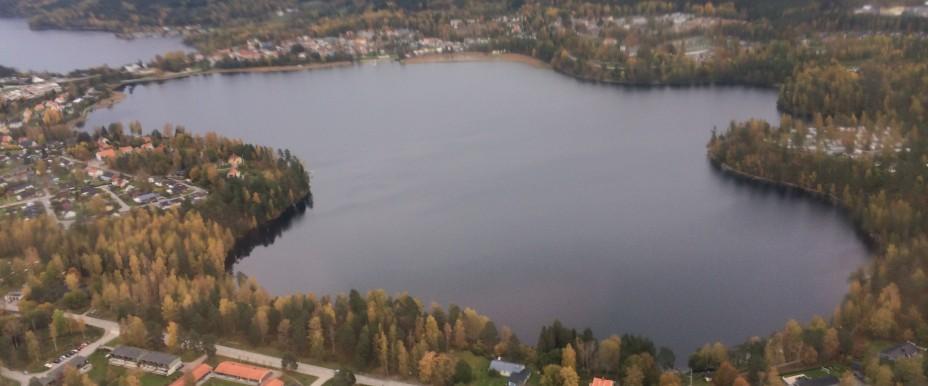 Lilla Le, Timmertjärn - Image 2