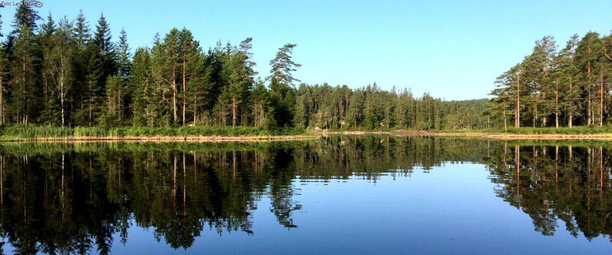 Kommunfiskekort Dals-Ed - Image 3