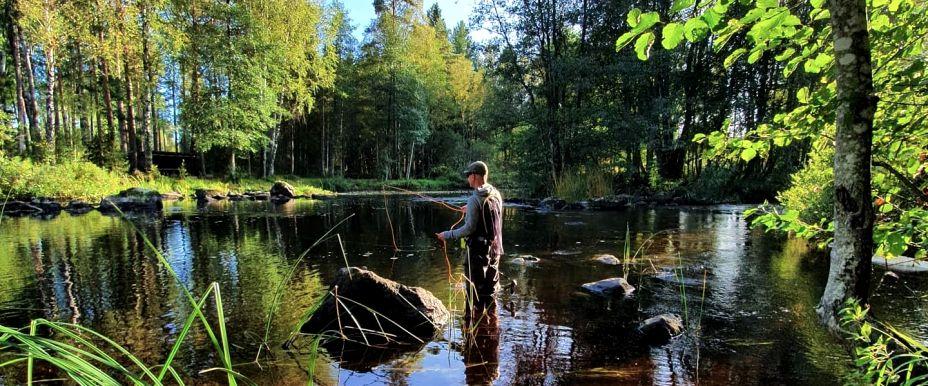 Gustavsfors, Delary Dammsjö - Image 2