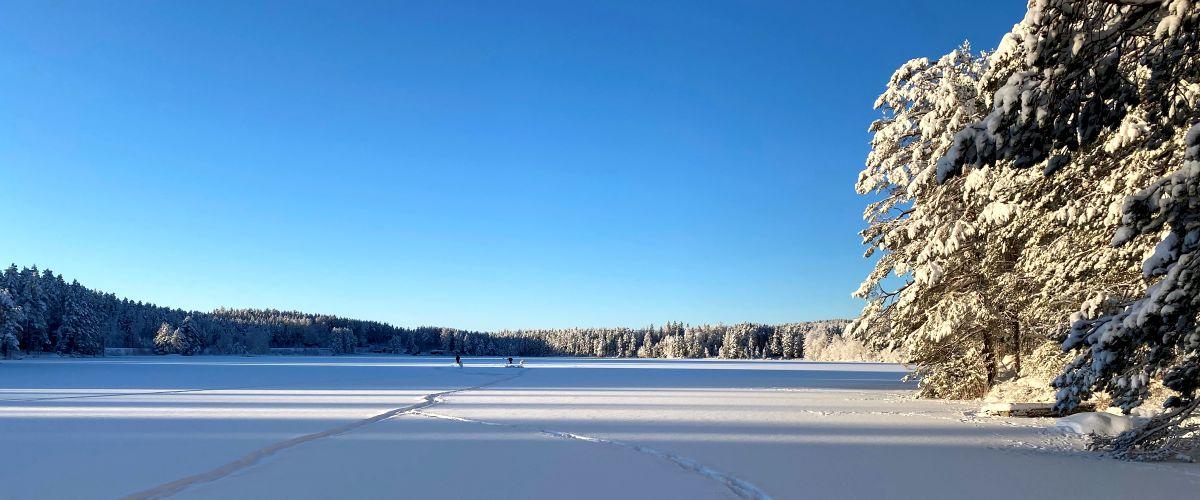Ryggen, Fäbodsjön m fl sjöar - Image 5