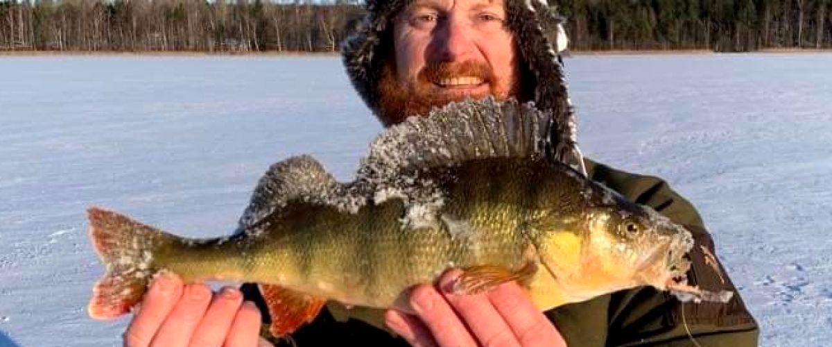 Abborre 920 gram på balanspirk