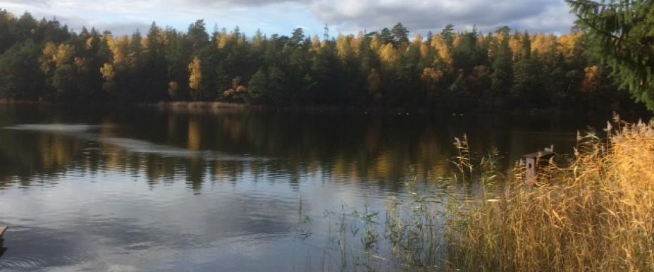 Flaten, Uttran och Dånviken - Image 2