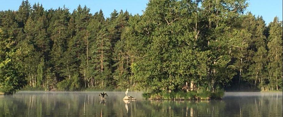 Flaten, Uttran och Dånviken - Image 4