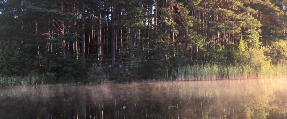 Flaten, Uttran och Dånviken - Image 7