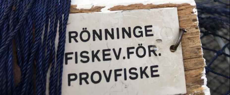 Flaten, Uttran och Dånviken - Image 11