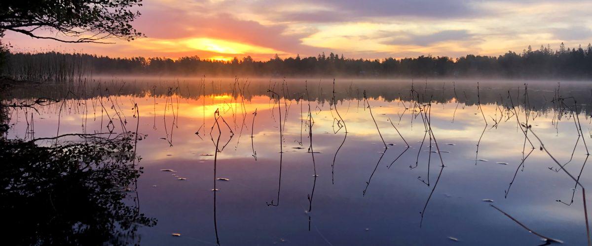 Furusjön - Image 2