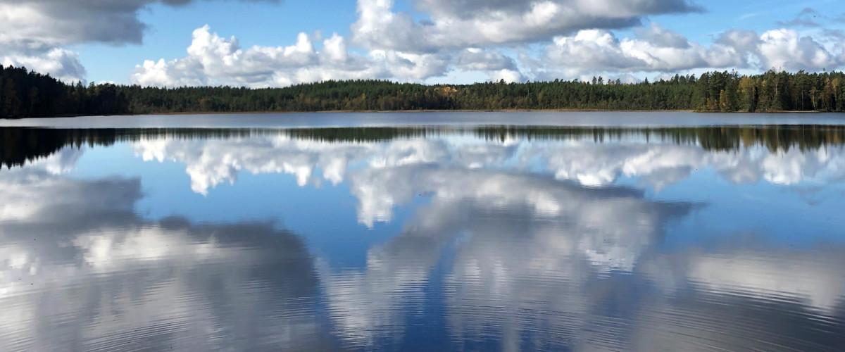 Furusjön - Image 5