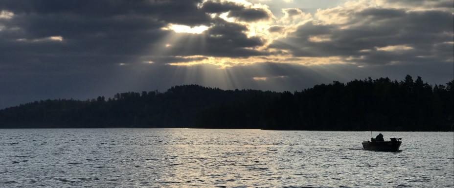 Svalsjön, Ören, Halvsjön samt del av Örlången - Image 2