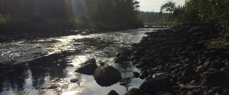 Borgsjön, Orgsjön, Norsjön, Lill-Valvattnet, Giktasjön och Holmsjön. - Image 1