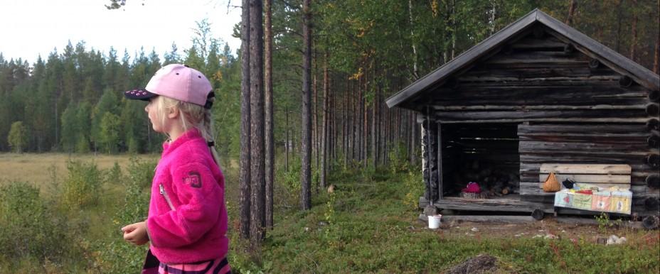 Borgsjön, Orgsjön, Norsjön, Lill-Valvattnet, Giktasjön och Holmsjön. - Image 6