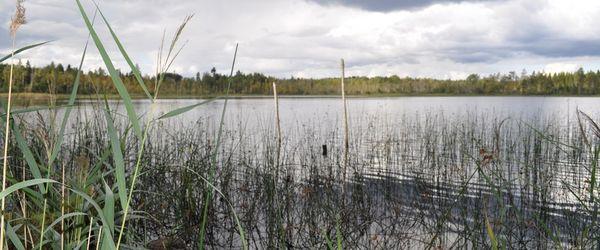 Sjöarp-Öasjön - Image 2