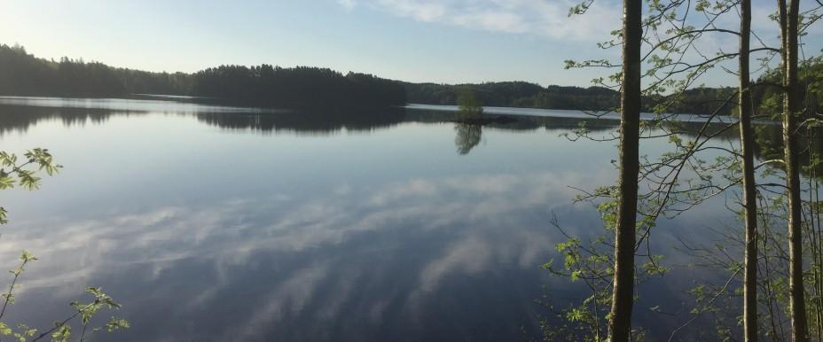 Svarten, Boksjön, Stora Mellsjön m.fl - Image 1