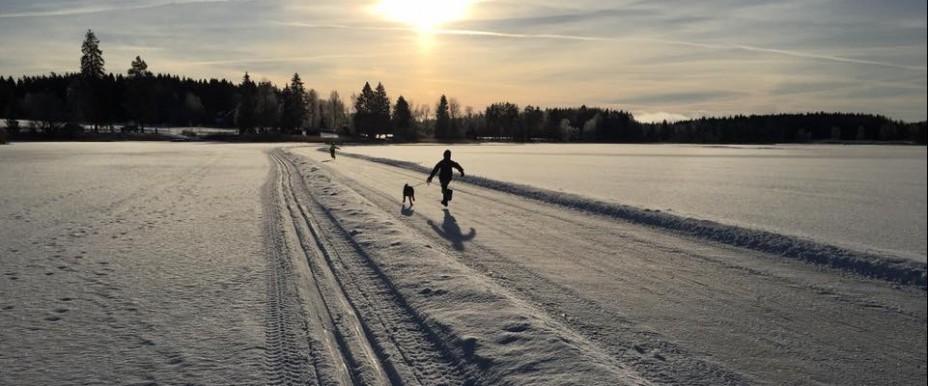 Labodasjön, Bågen och Olsbennings damm - Image 3