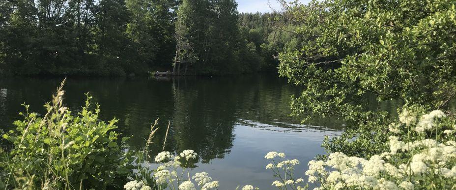 Ljungsjön, samt del av Motala ström - Image 1