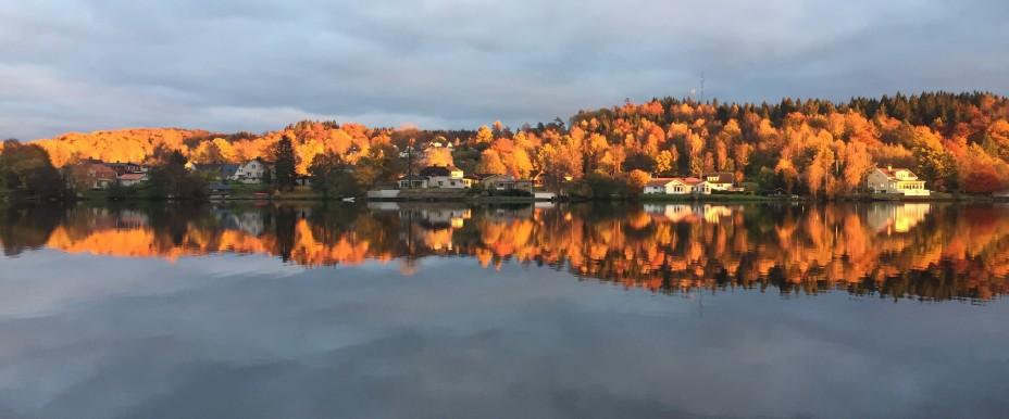 Stora och Lilla Dalsjön - Image 3