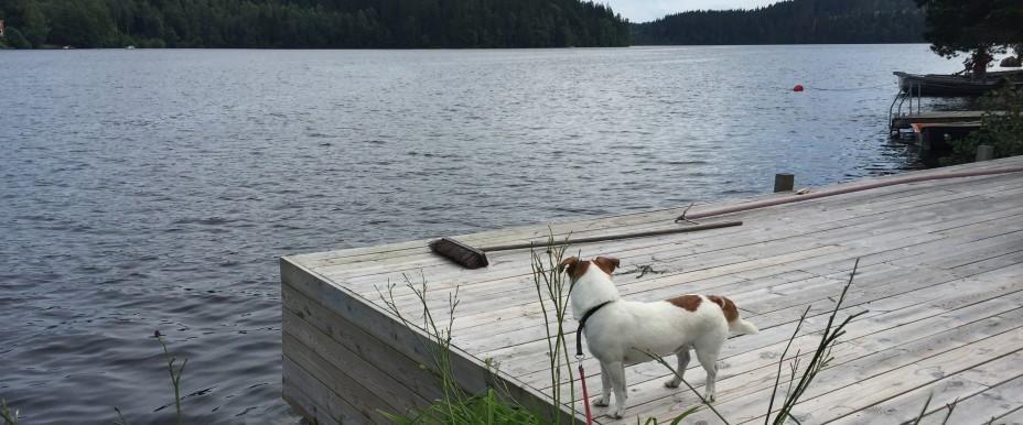 Stora och Lilla Dalsjön - Image 2
