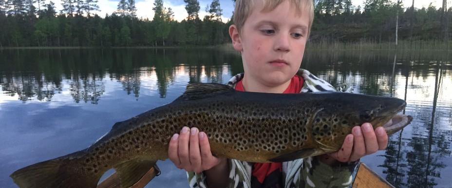 Siljan, Orsasjön, Grundsjön, Ätjärn m. fl. sjöar - Image 3