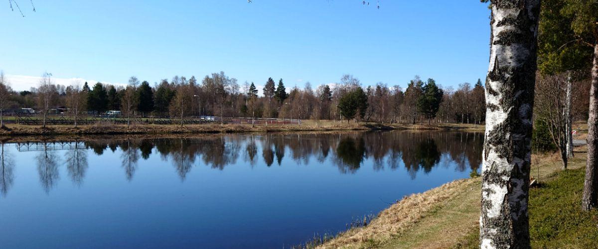 Skepphusvik - Image 7