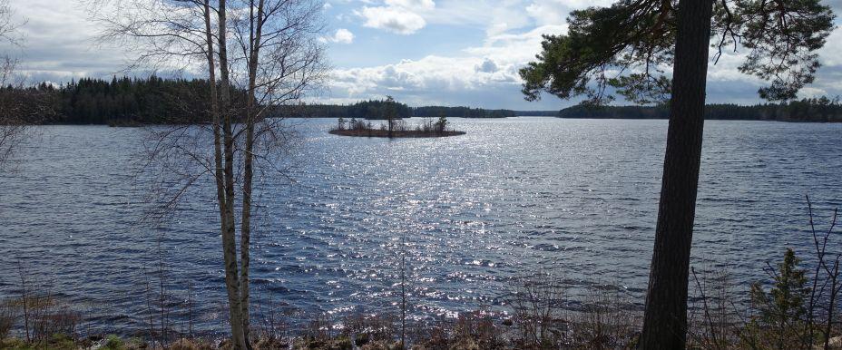 Sandsjön (Uppvidinge) - Image 1