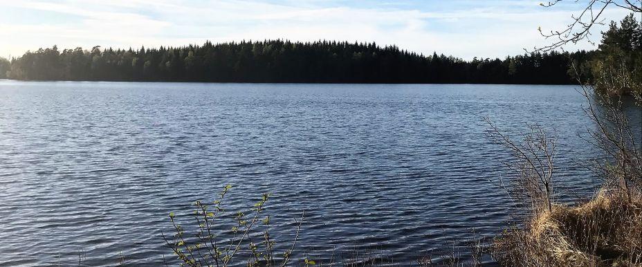 Vassgården, Björsjön, Hökasjön m fl sjöar - Image 2