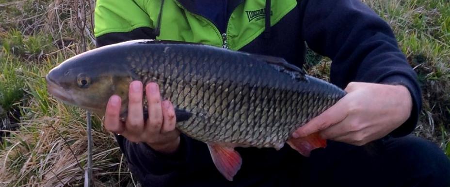 3040 gram 2019-04-26