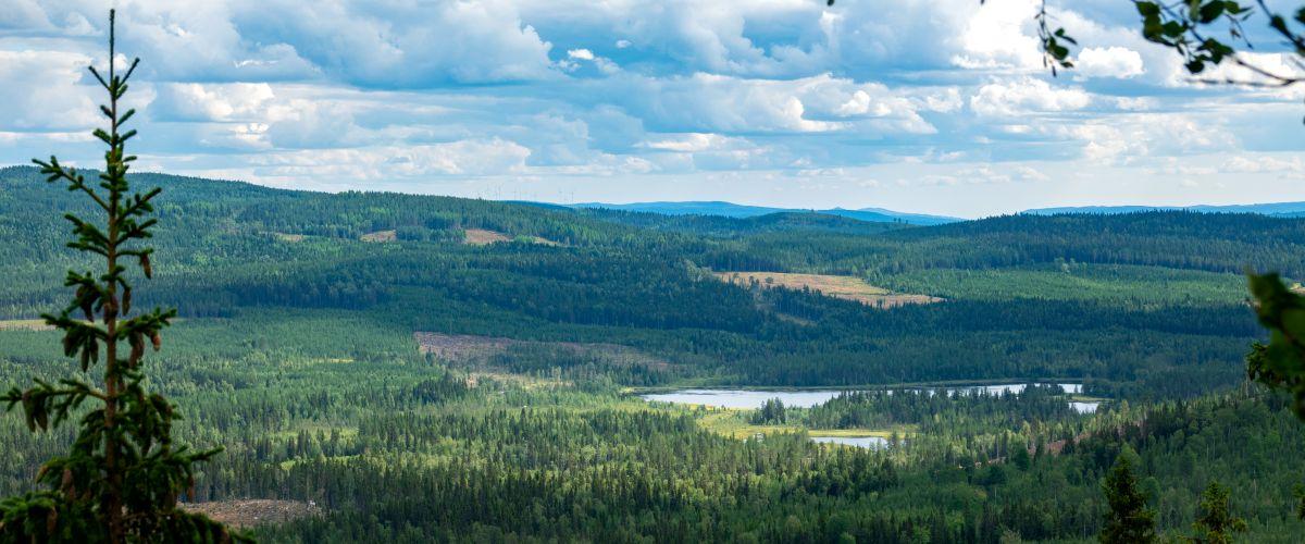Stenbithöjdens fiskevatten - Image 13