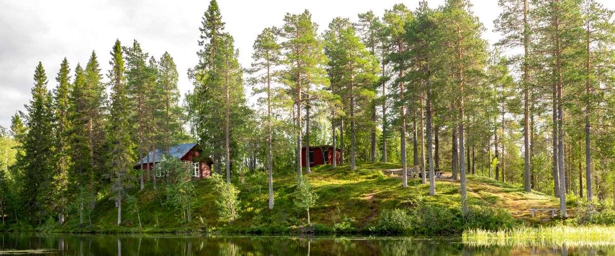 Stenbithöjdens fiskevatten - Image 14