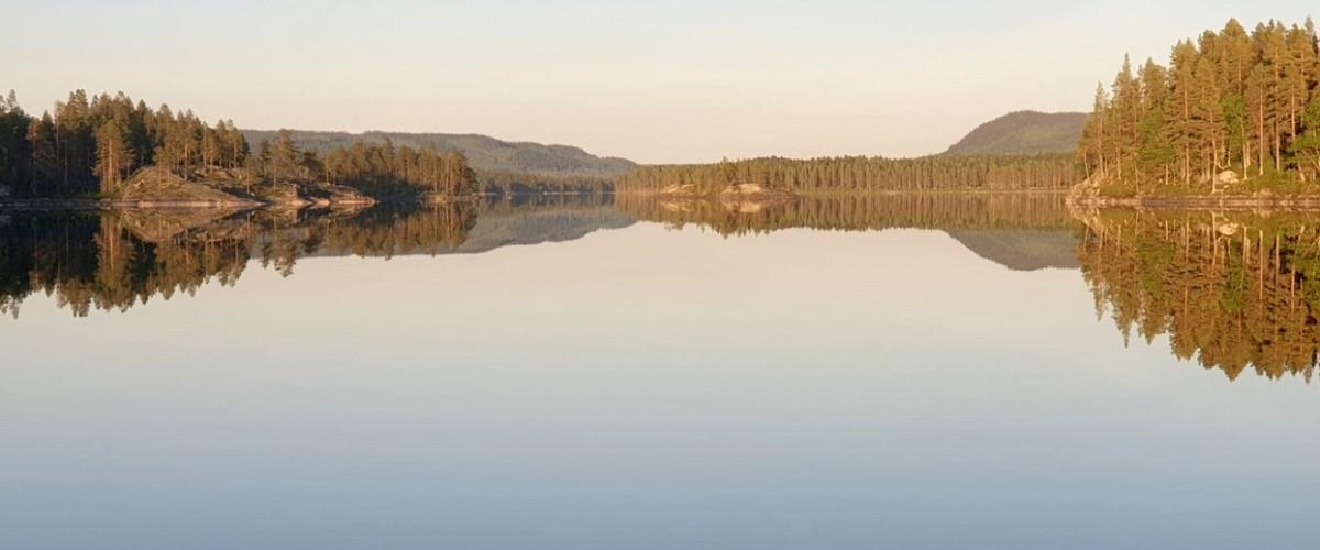 Svaningssjön, Stråken, Fågelsjön m fl - Image 3