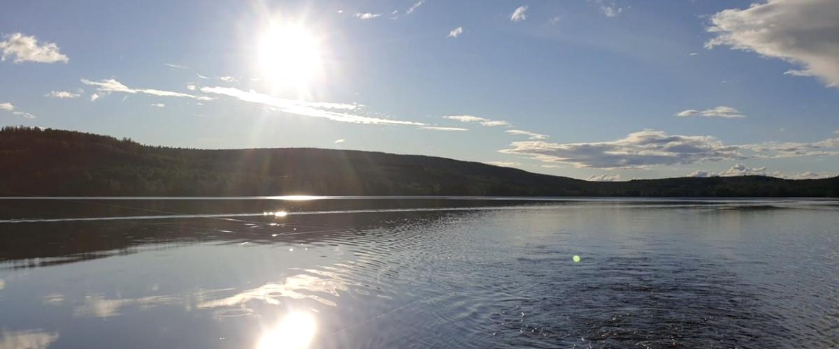 Svaningssjön, Stråken, Fågelsjön m fl - Image 2