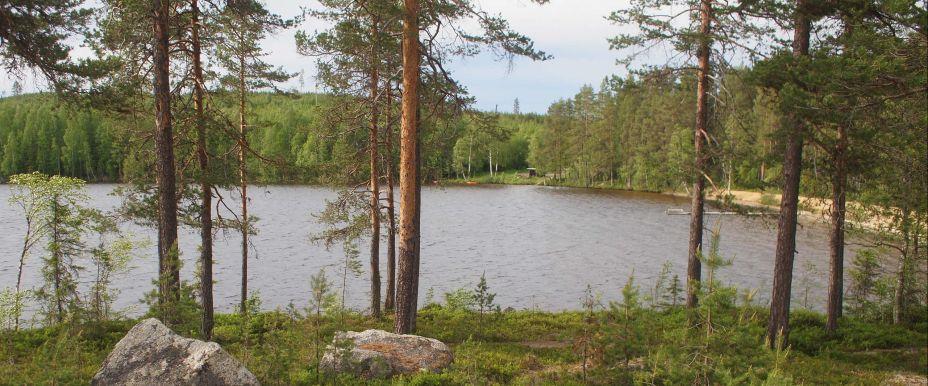 Trehörningen, Björnsjösjön, Ledingsjön m fl sjöar - Image 2