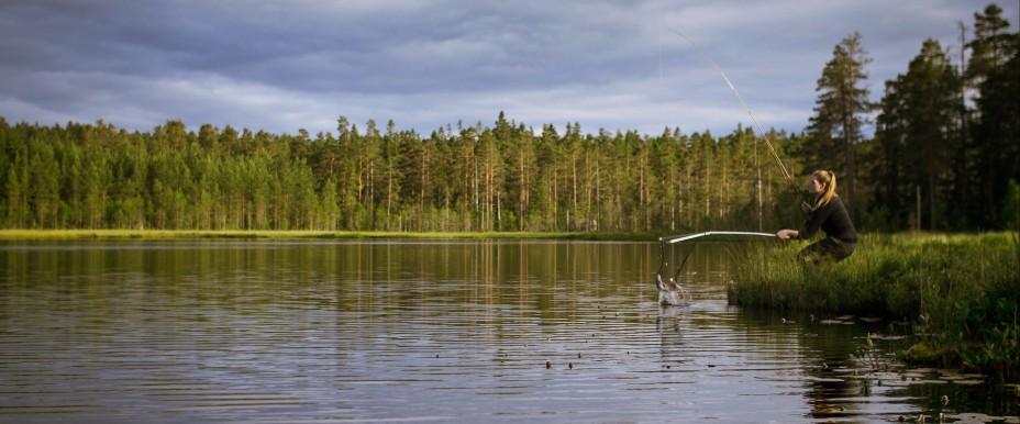 Turistfiskekortet Karlskoga Degerfors - Image 2