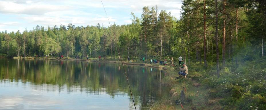 Photo of Laxtjärn